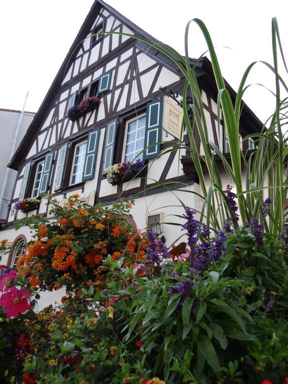 Hotel Schuetzenhof Spa Garden Buerstadt Exterior photo